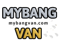 vidzflix.com
